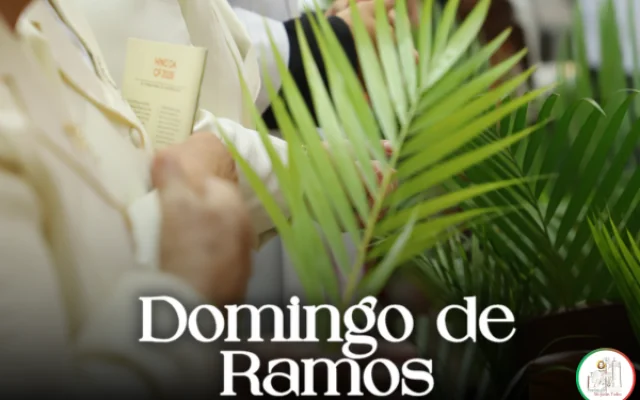 Domingo de Ramos reúne fiéis em 8 comunidades da paróquia